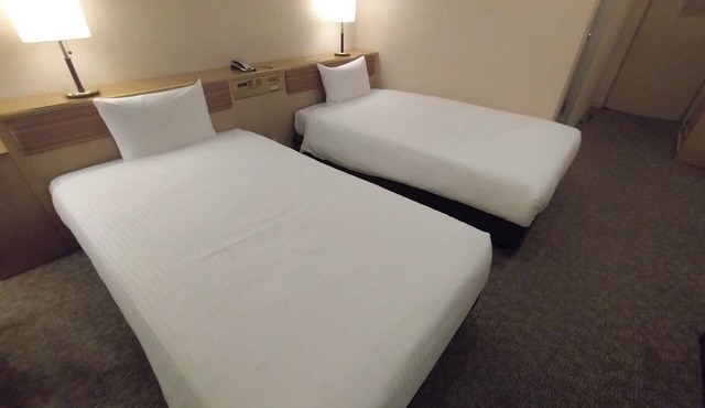 Standard Room only Twin B Nonsmoking/Taito-ku Tokyo