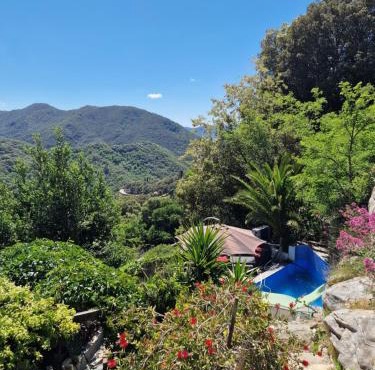 Stop GT20 A casa di catharina
