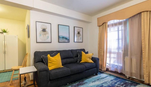 Sunny Fully Furnished Studio in Chelsea