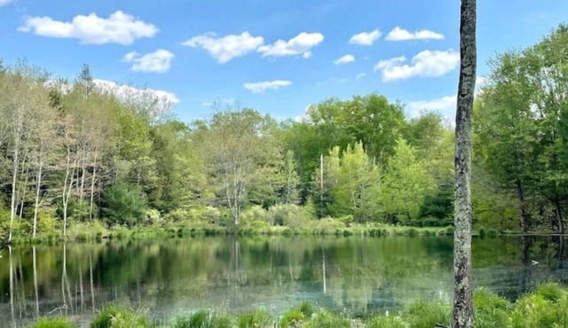Sweet Suite Tiny House w/Zen Vibes on Quiet Lake