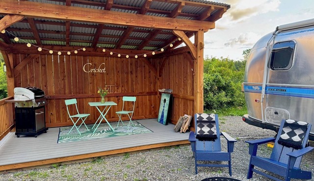 Sweet Vintage Airstream in FLX Wine Country