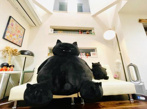 Tanuki Shinjuku
