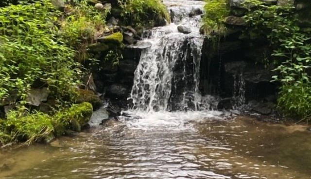 Tentrr Signature Site - Lake Hills Farm - Stream Side Camping