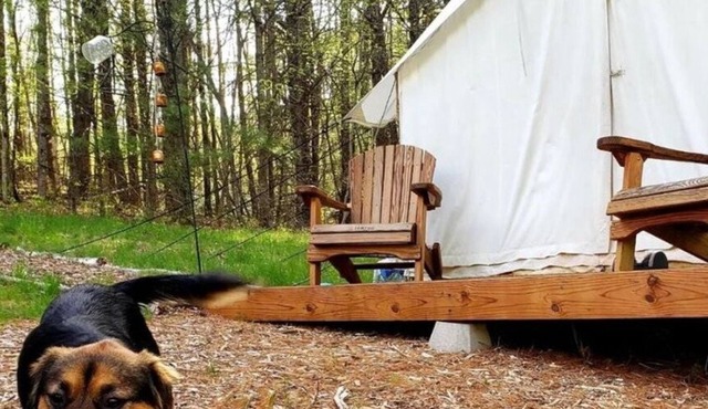 Tentrr Signature Site - Big Wood