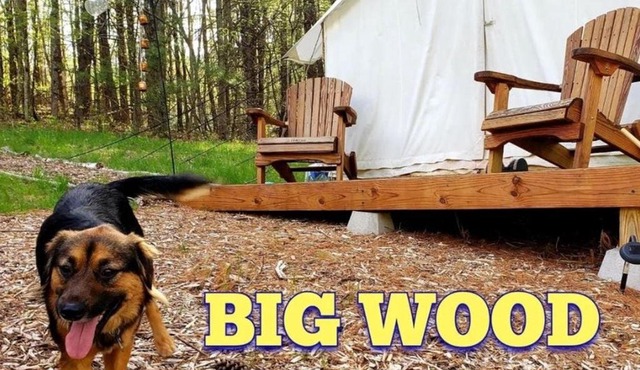 Tentrr Signature Site - Big Wood