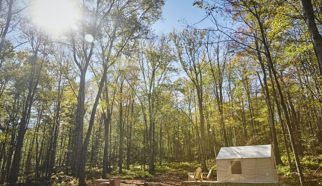 Tentrr Signature Site - Swinging Bridge Sanctuary