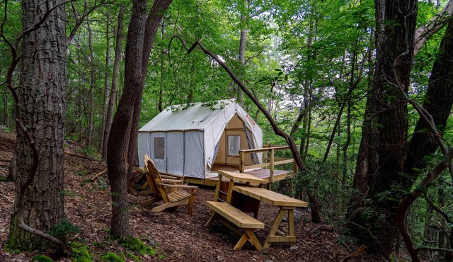 Tentrr State Park Site - WV Coopers Rock State Park - Site E - Single Camp