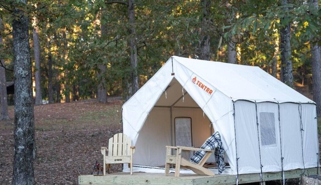 Tentrr State Park Site - Mississippi Roosevelt State Park - Shadow Lake F - Sing