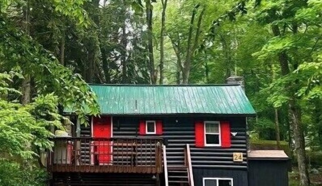 The little cabin that could…