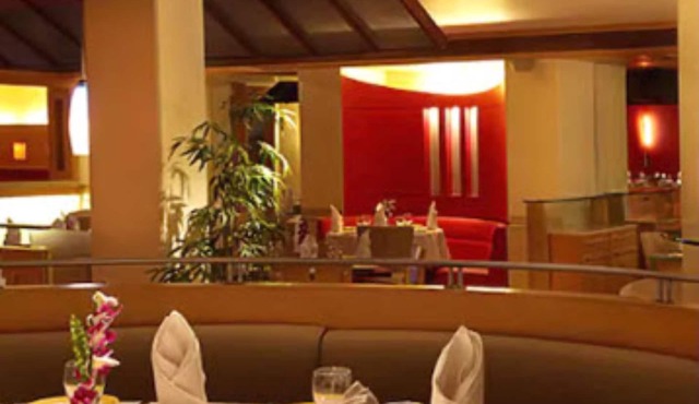 The Royal Orchid