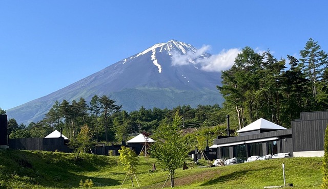 THE SENSE FUJI