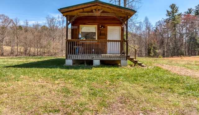 Tiny rustic cabin nestled in the hills around the South Holston Lake dam