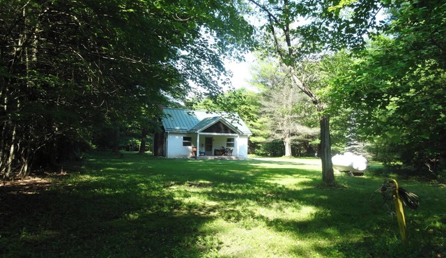 Tionesta HY Cabin, Rustic 3 Bedroom that sleeps 10.