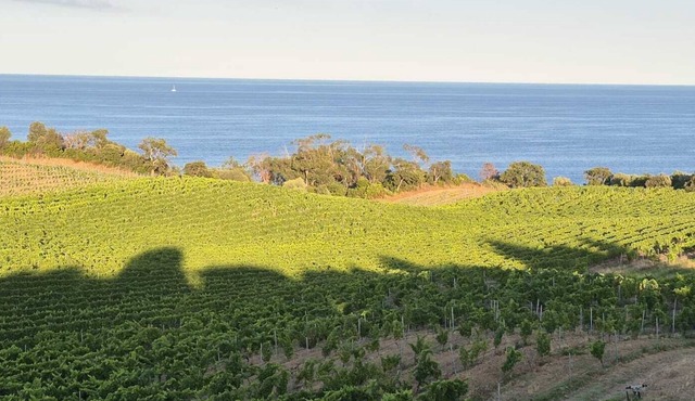 Villa 62m² AU Coeur DES Vignes Face MER Piscine Partagee Chauffee