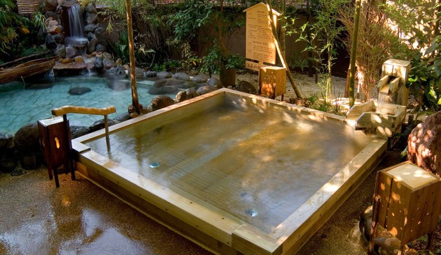 Wellness No Mori Ito