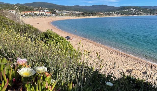 Wonderful 2-bedroom apartment in welcoming Albitreccia near the beach