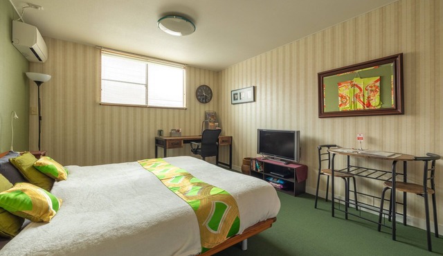 Yoyogi Ivy | Studio with King Sized Bed