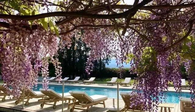 ZEcamping 2 étoiles accès direct plage piscine chalet 4 pers
