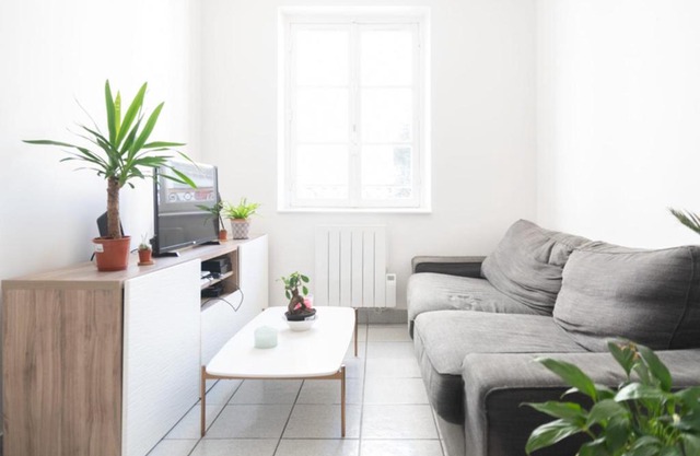 Bright apartment close to the BUTTES CHAUMONT