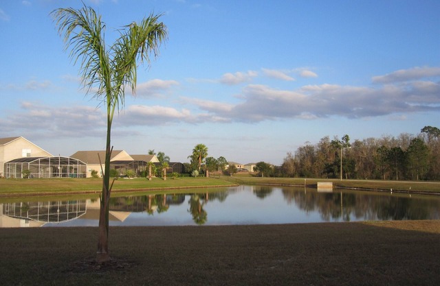 Heavenly Lakeside Retreat Near Disney, Orlando and Beaches