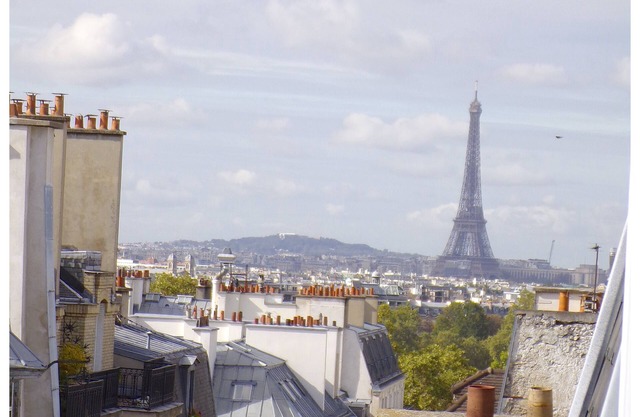 Left Bank Roof Top Luxembourg Gardens Eiffel Towers views