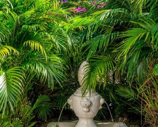 The Fountain 203 - One Bedroom Condominium