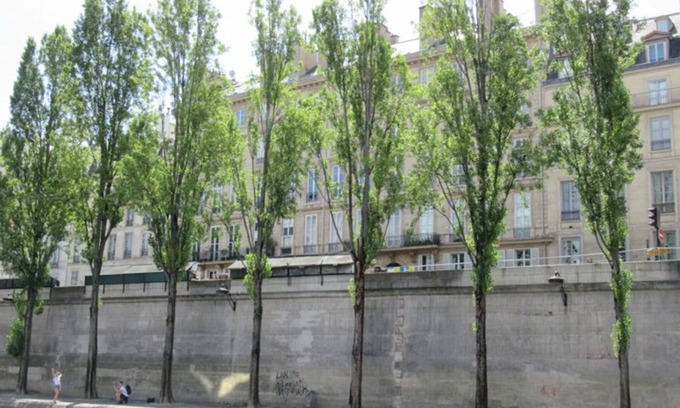 Champs-Elysees Apartment | 250m2 of Pure Parisian Magic –Eiffel Tower & Seine Vistas by the Champs-Élysées