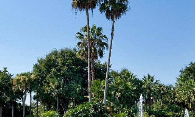 Florida Central Atlantic Coast Condo | Disney -Universal-Sea World Weekly Rental Fri., Sat., Sun. Checkin