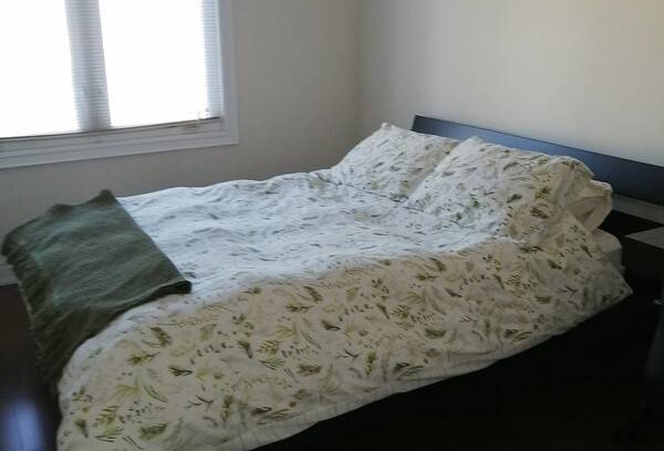 Old East York Resort | Private room ∙ 1 guest