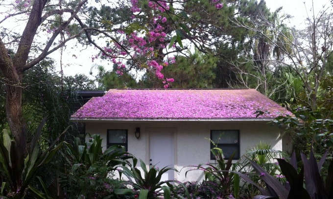 Palm River-Clair Mel Cottage | Urban Oasis: Secluded Cottage w/ Lush Botanical Gardens