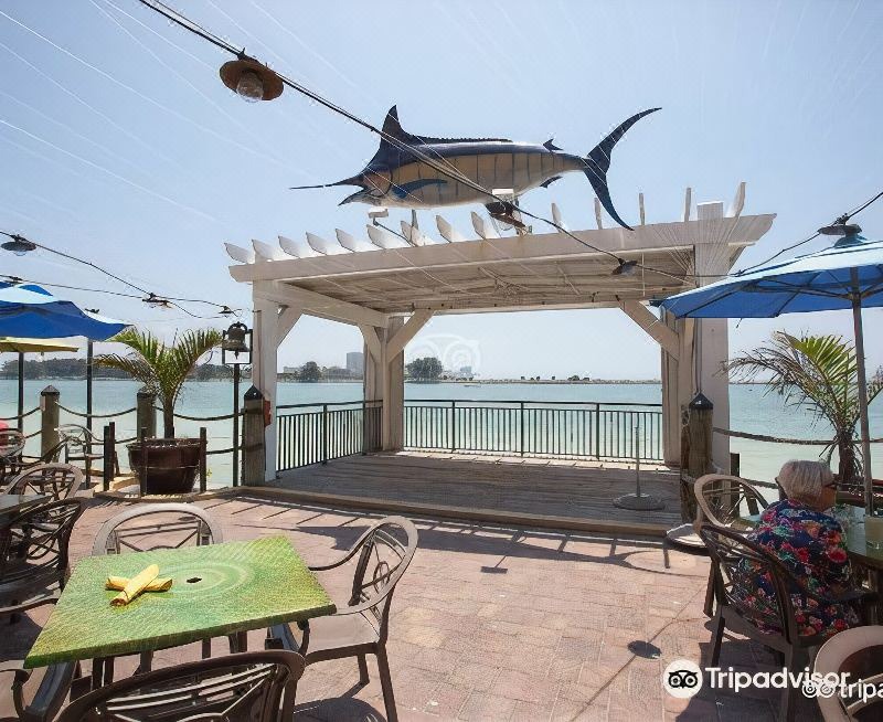 Photo of Others in Clearwater Beach