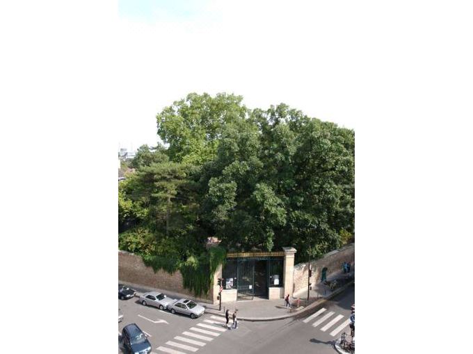 Photo of Patio Balcony in 5th Arrondissement