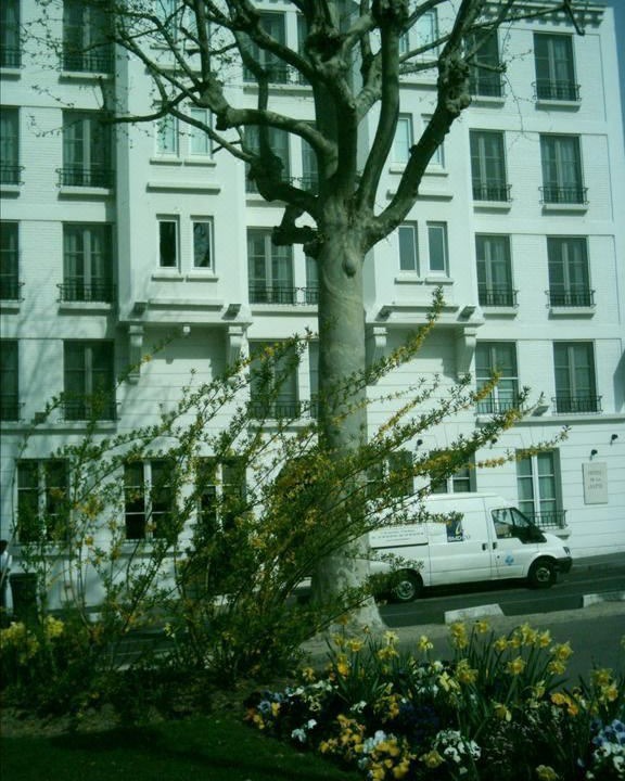 Photo of Buildings in Neuilly-sur-Seine