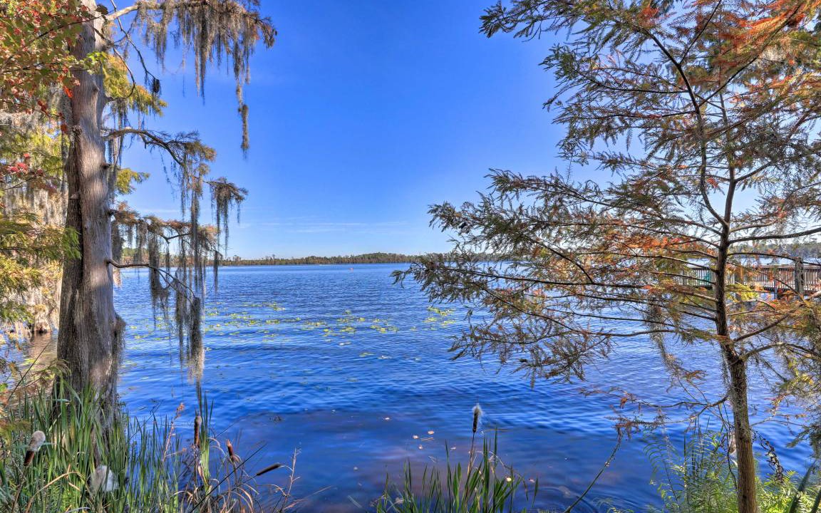 Photo of Others in Florida Central Atlantic Coast