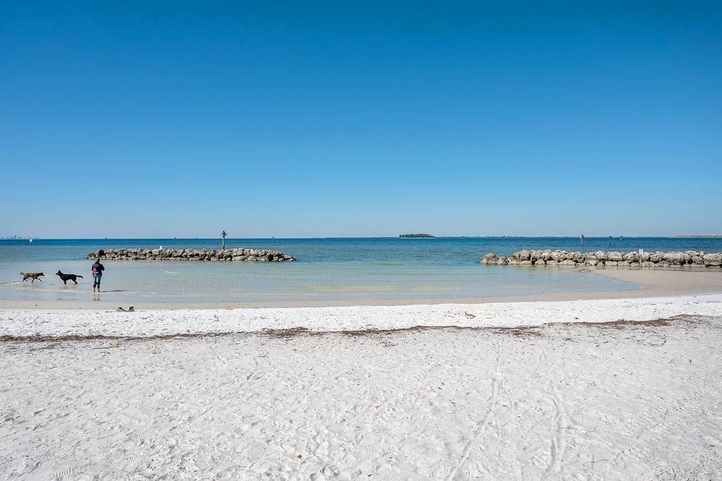 Photo of Others in Apollo Beach