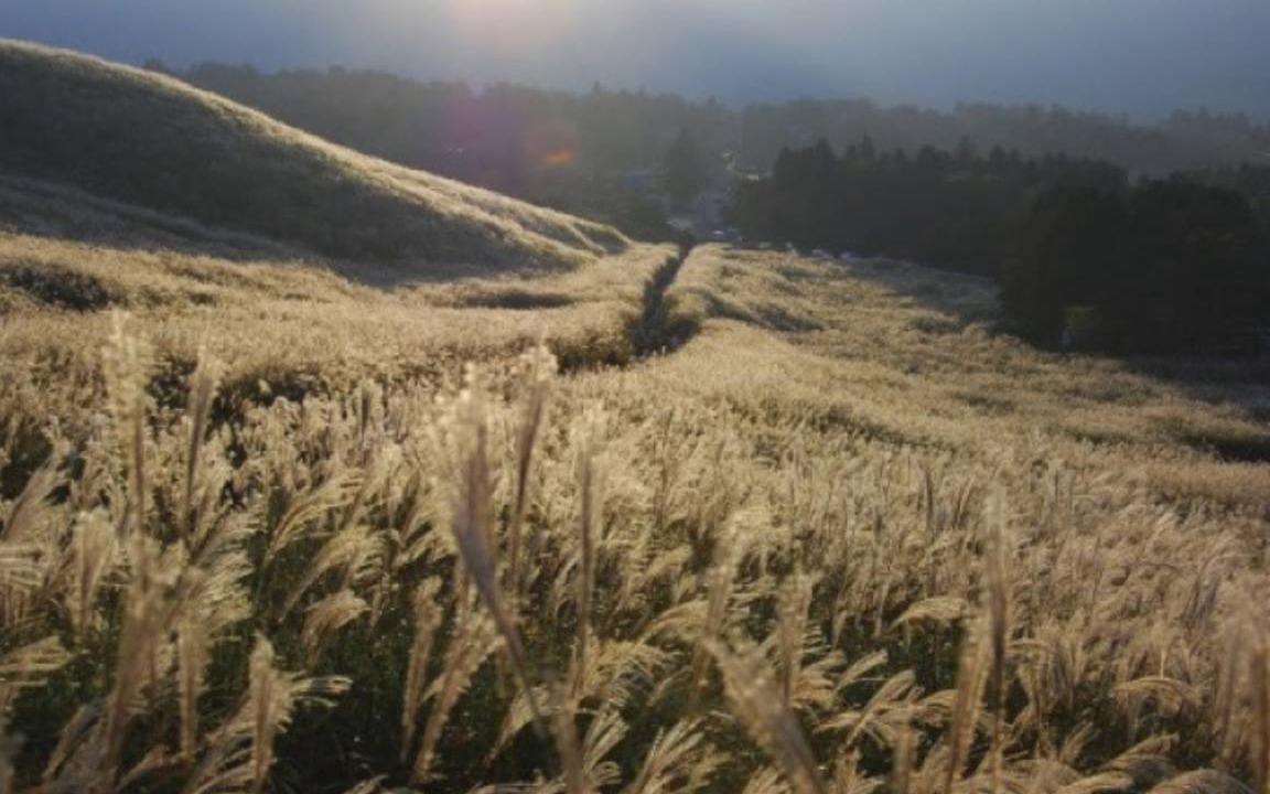 Photo of Others in Yumoto