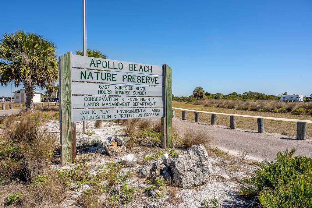 Photo of Others in Apollo Beach