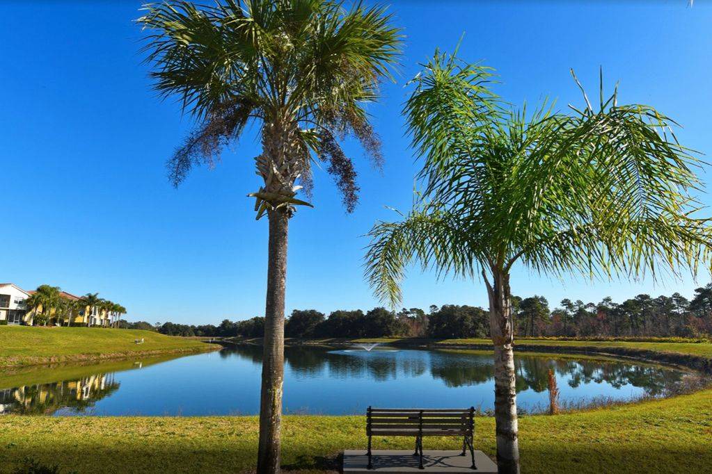 Photo of Others in West Kissimmee
