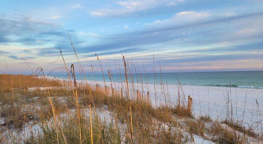 Photo of Others in Fort Walton Beach