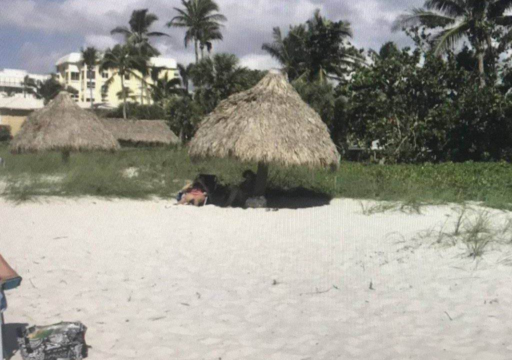 Photo of Others in Central Naples