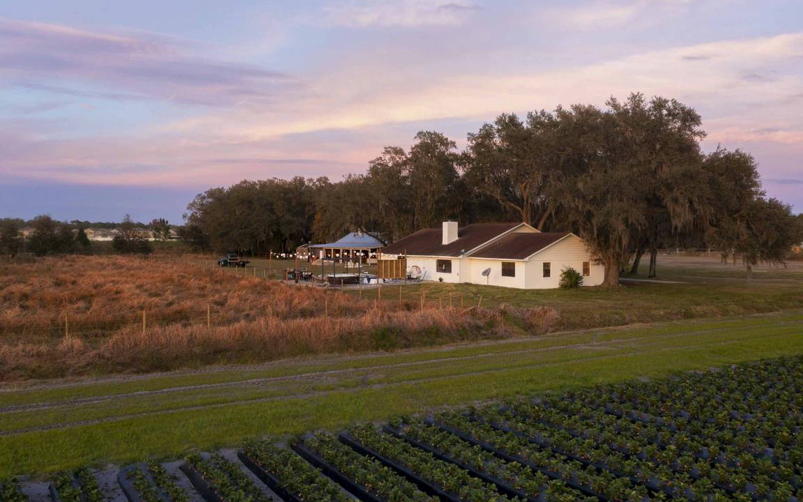 Photo of Others in Plant City