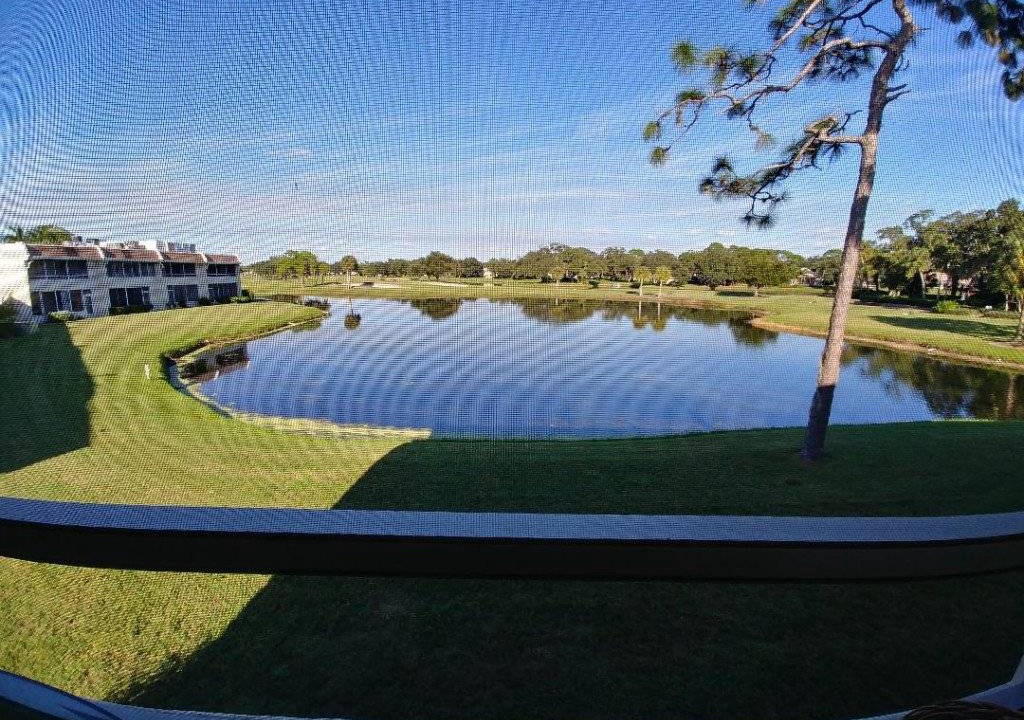 Photo of Others in Braden River