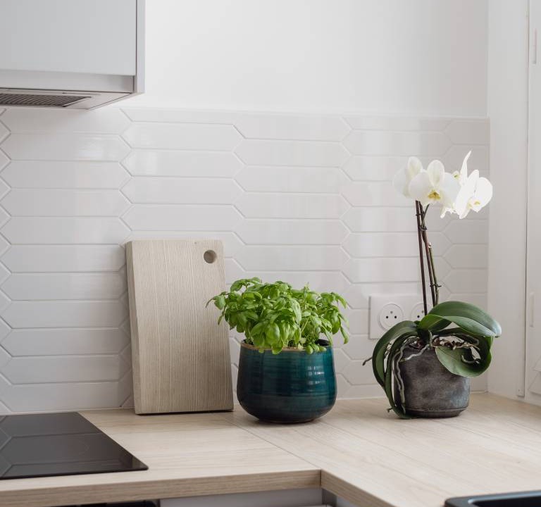 Photo of Kitchen in 12th Arrondissement