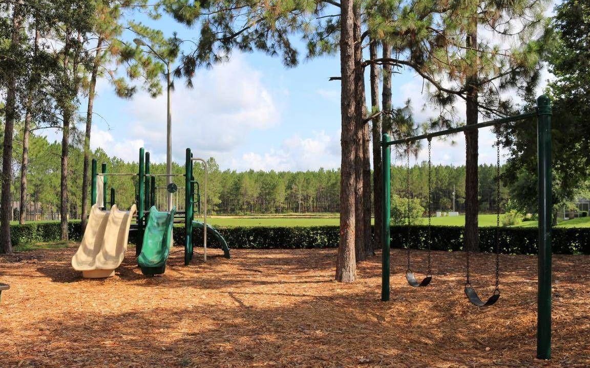 Photo of Outdoor in Florida Pines