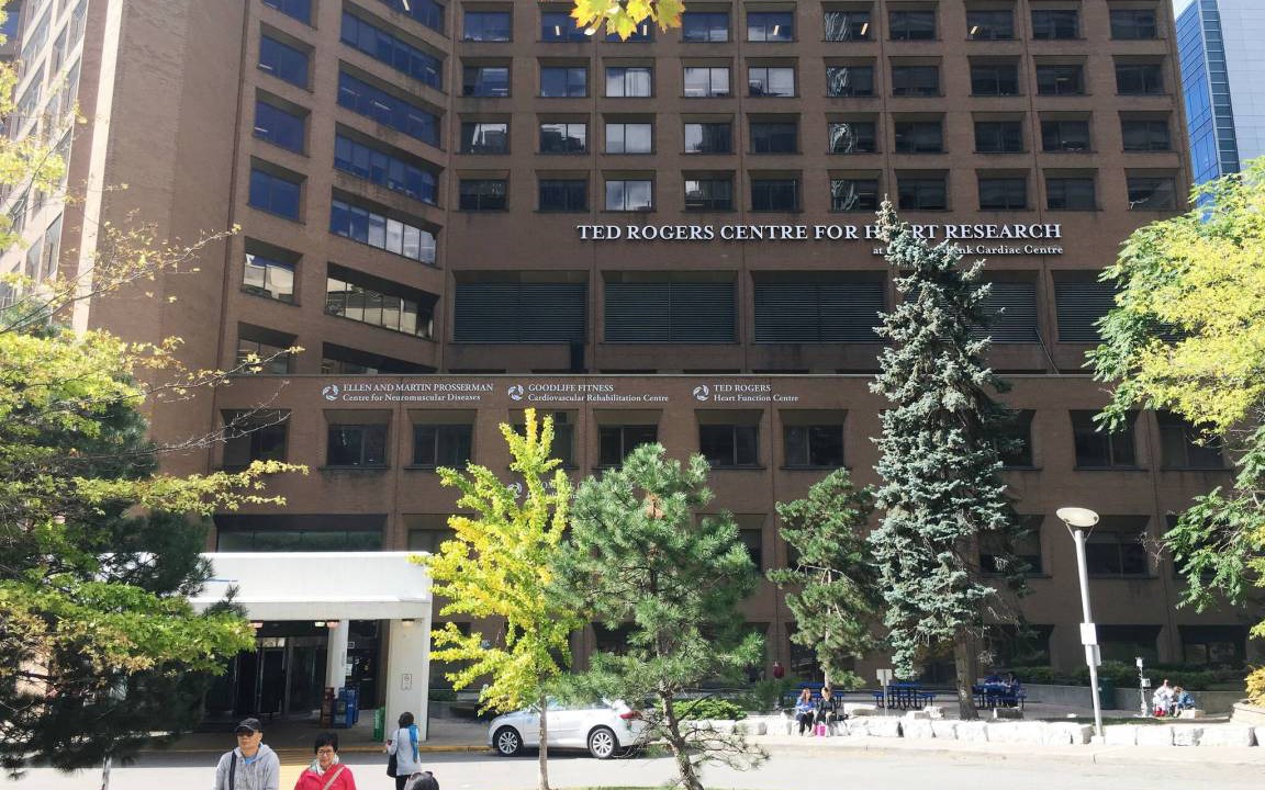 Photo of Others in Bay Street Corridor