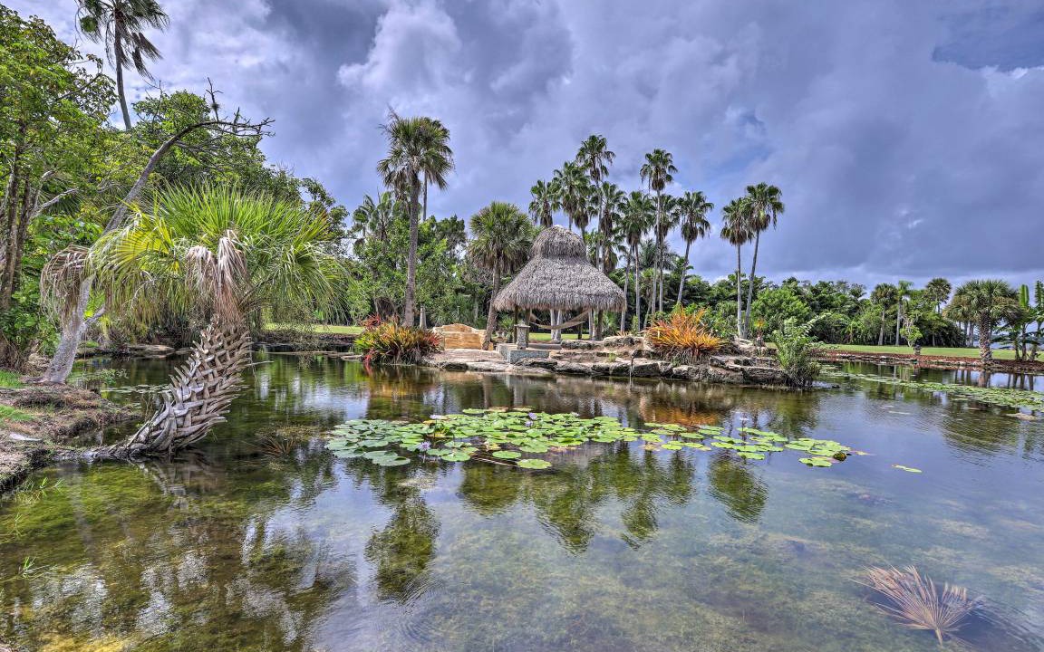 Photo of Others in Tropic