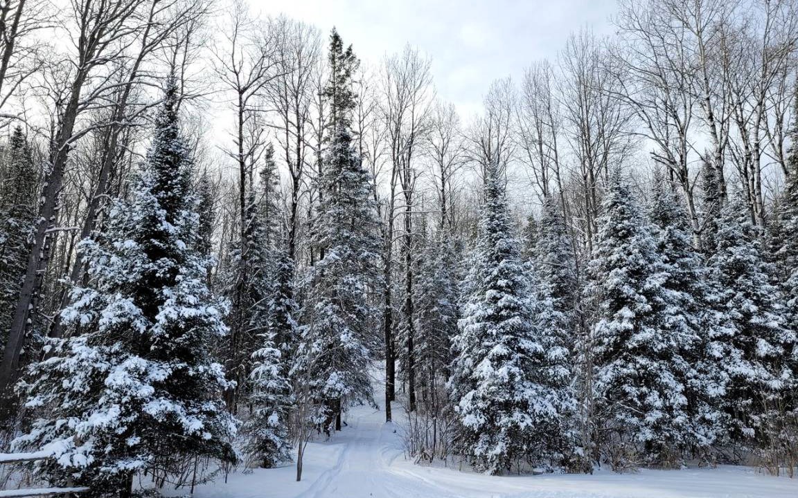 Photo of Others in Corbeil