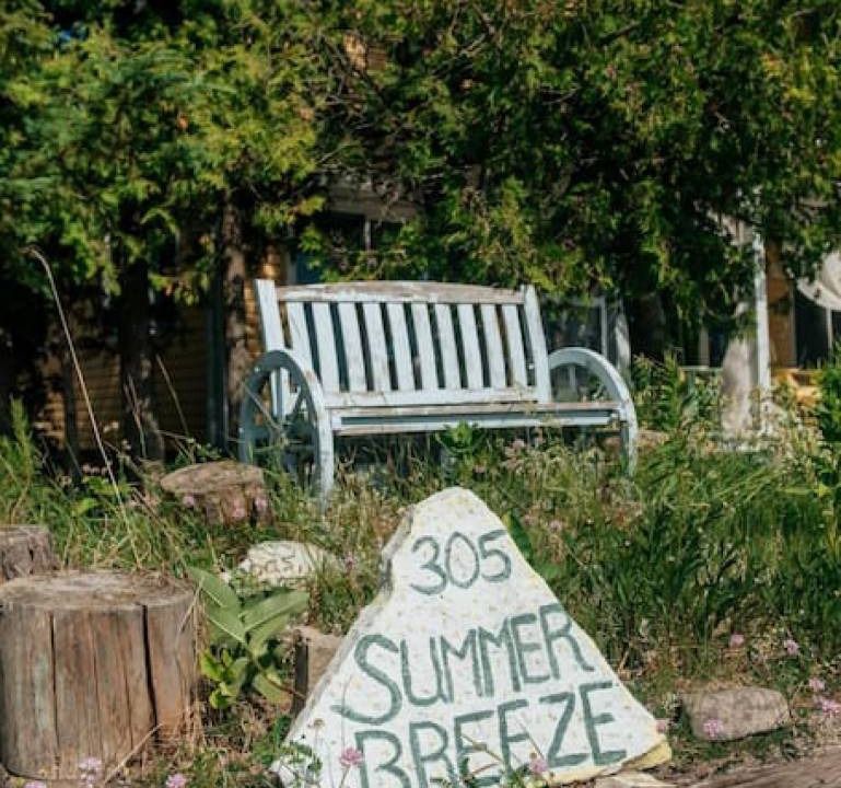 Photo of Others in South Bruce Peninsula