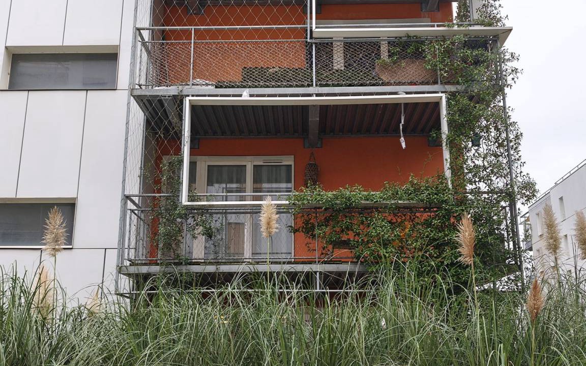Photo of Others in L'Ile-Saint-Denis