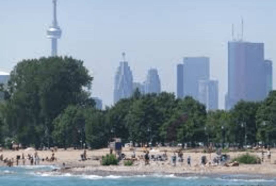 Photo of Others in Upper Beaches